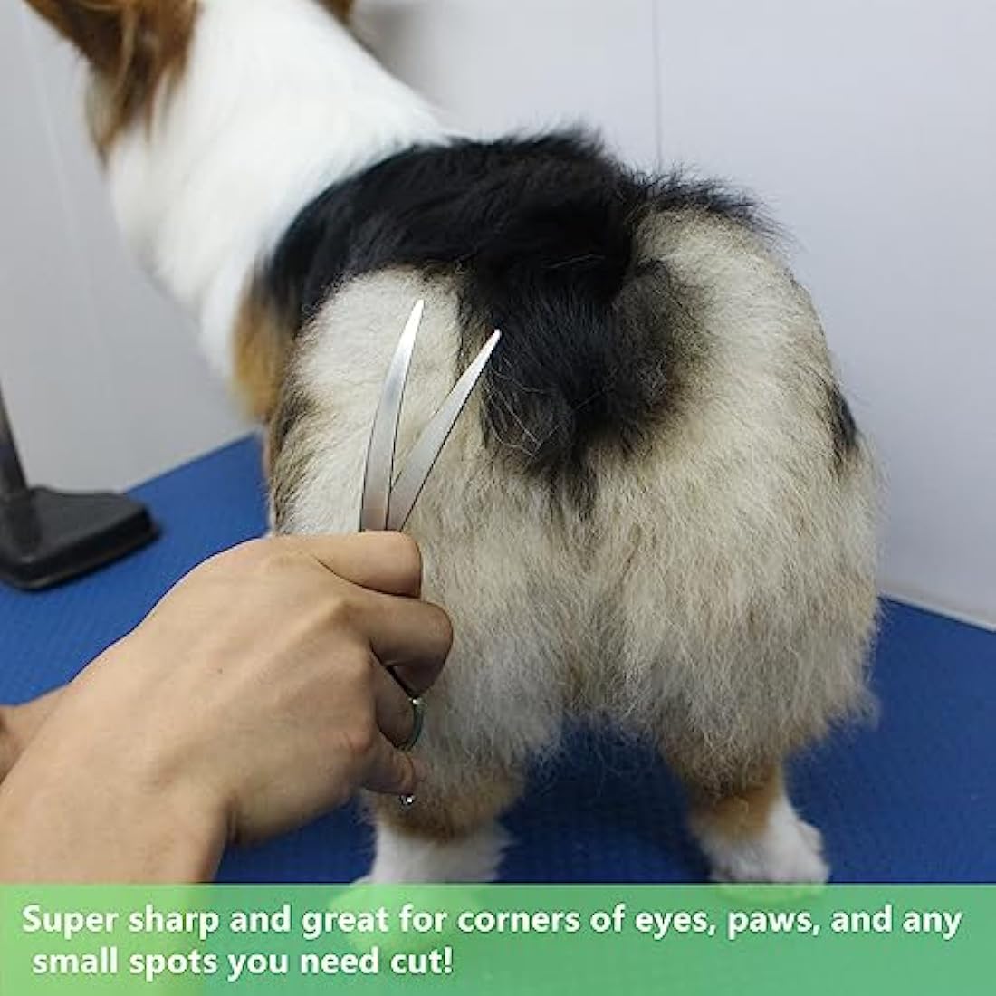 HASHIMOTO Curved Dog Grooming Scissors, Extremely Light Weight, 6.5 inch, 30 Degree Curved Blade, Matt Surface