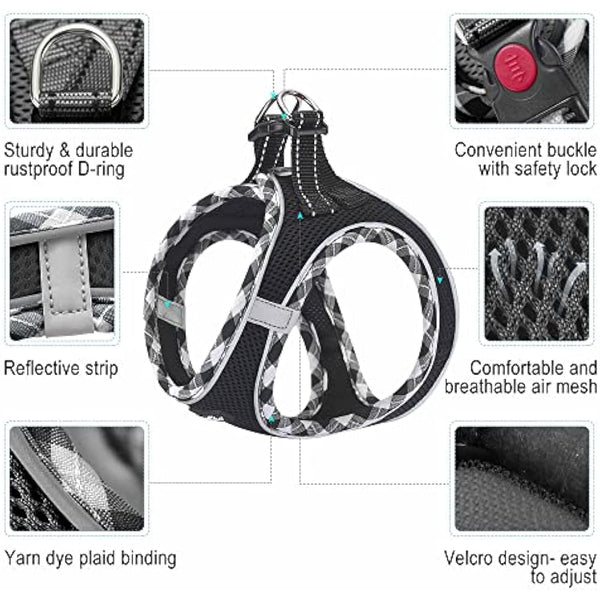 haapaw Dog Harness and Lead Set, No Pull Adjustable Reflective Step-in Puppy Harness with Thickened Padded Vest for Extra-Small/Small Medium Dogs