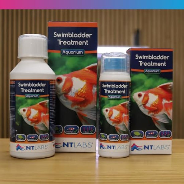 NT Labs Aquarium Swimbladder Treatment, Tropical and Coldwater Aquarium Medicine, Treatment for Internal Bacterial Infections, Treats fish buoyancy and stability issues (100 ml)