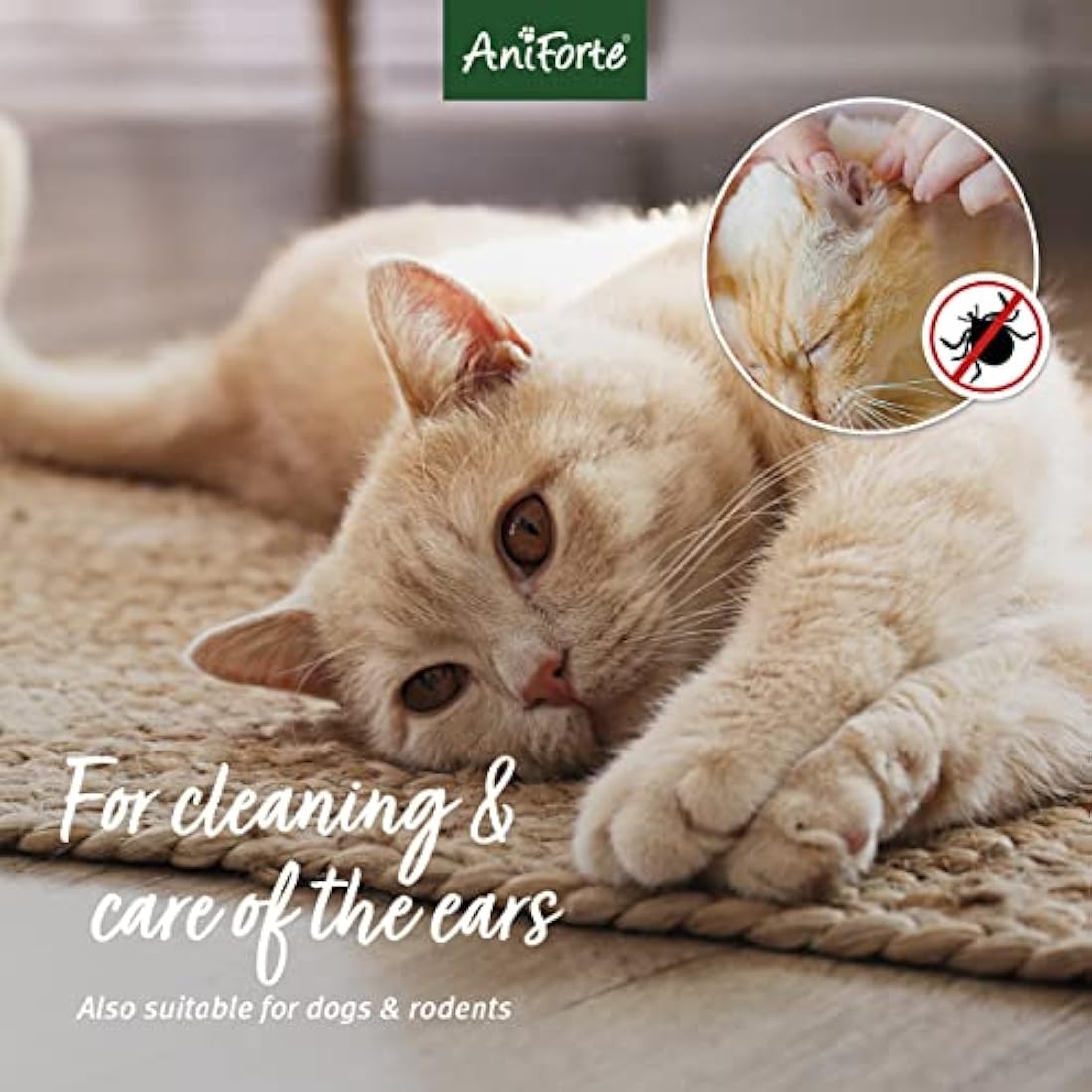 AniForte Ear Mite Drops 20ml for Dogs, Cats, Rodents and Pets: Treatment for Pets and Animals to Kill & Remove Ear Mites, Ear-Drops