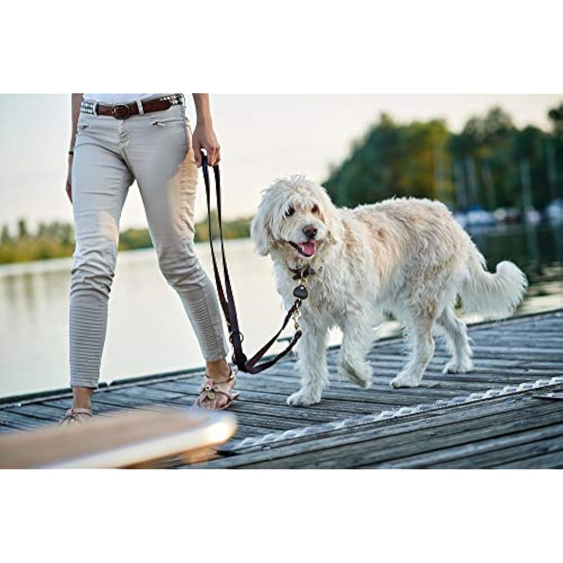 HUNTER Sansibar SOLID Adjustable Leather Braided Dog Lead Durable Elegant 1.5 x 200 cm Dark Brown