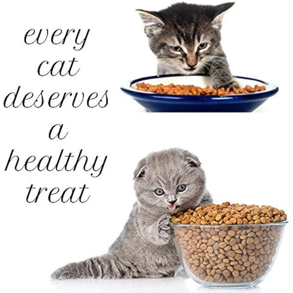 Hills Science Plan Adult Sensitive Stomach And Skin Chicken Dry Cat Food 1.5kg