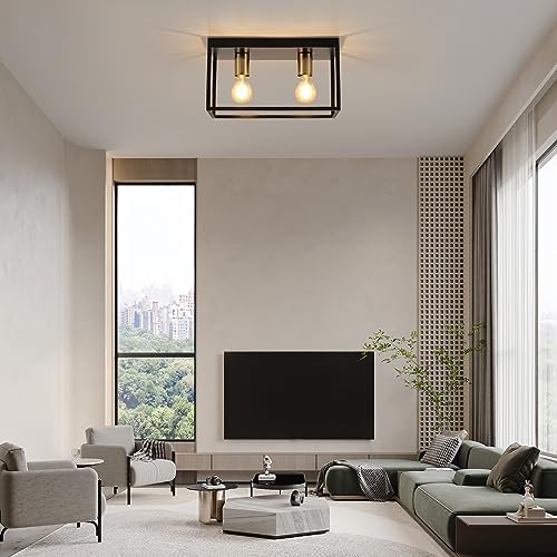 FORCOSO Black Ceiling Lights 2 Lights, Modern Industrial Ceiling Light E27 Flush Mount, LED Metal Cage Ceiling Light Fixture for Bedroom Living Room Kitchen Hallway Staircase max.60W - NO Bulb
