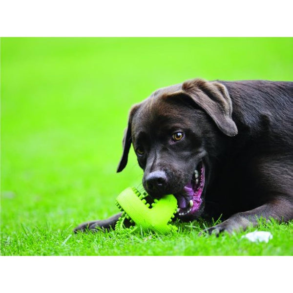 Happy Pet Grubber Rugby Ball Dog Toy Strong Fun Interactive Bouncy Chewing Outdoor Playing Catch Fetch Lightweight Tugging Pulling for All Breeds