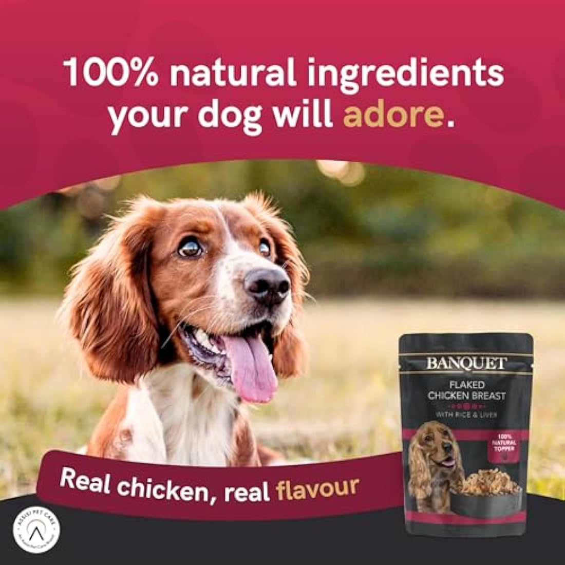 HiLife Banquet - Wet Dog Food - Flaked Chicken Breast, Rice, Liver - 100% Natural Ingredients, 15 Pouches x 100g