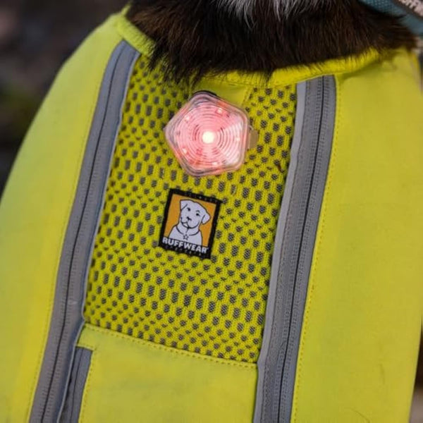RUFFWEAR The Beacon Dog Safety Light, Waterproof Dog Collar Light, LED Pet Dog Collar Buckle Night Light, Safety Clip On Flashing Dog Light for Dog Leads & Harnesses, Rechargeable Dog Light, Clear