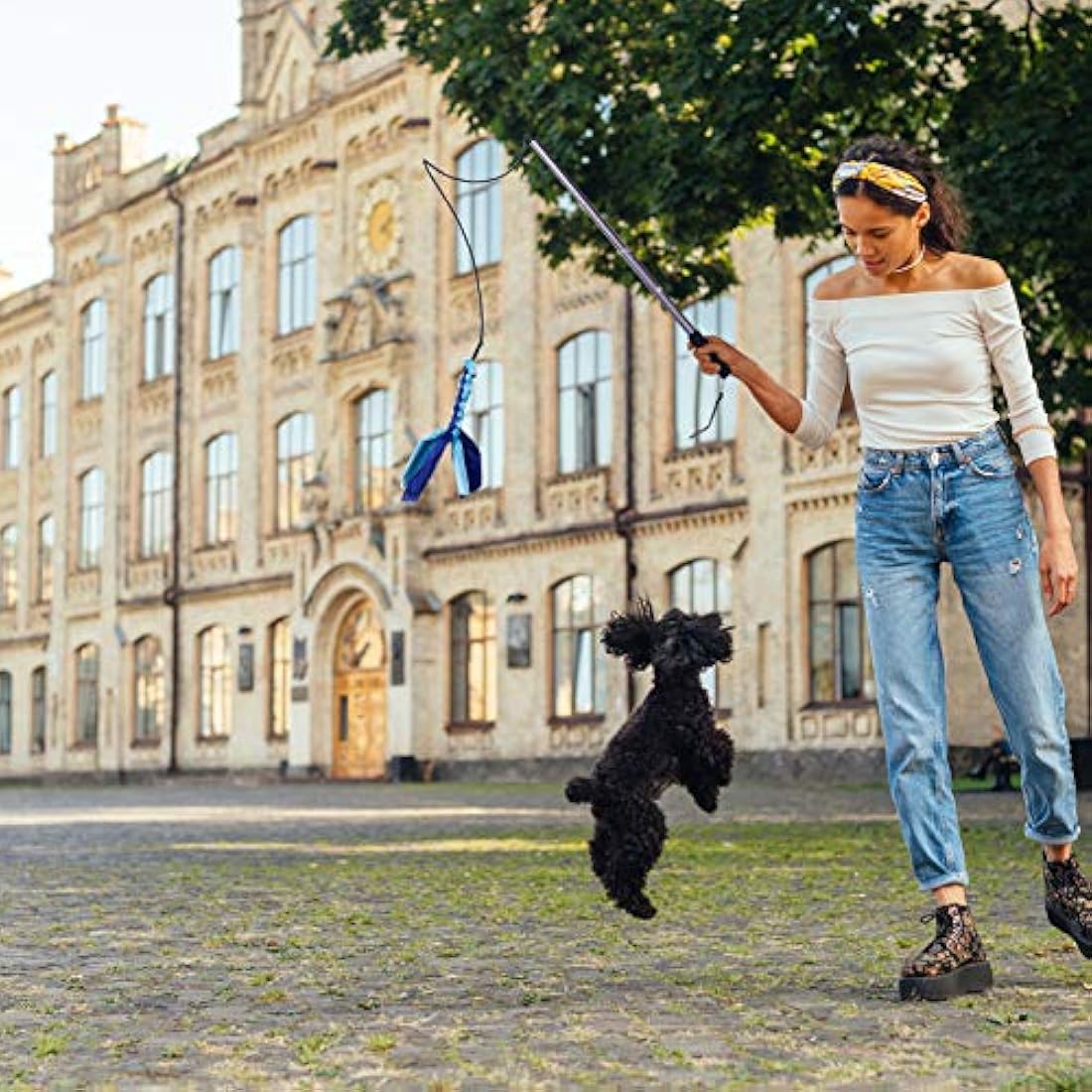 Auidy_6TXD Flirt Pole Dogs,Interactive Dog Toys Retractable Dog Toy Stick with 2 Tease Chew Toys Rope for Chewing,Training Exercise