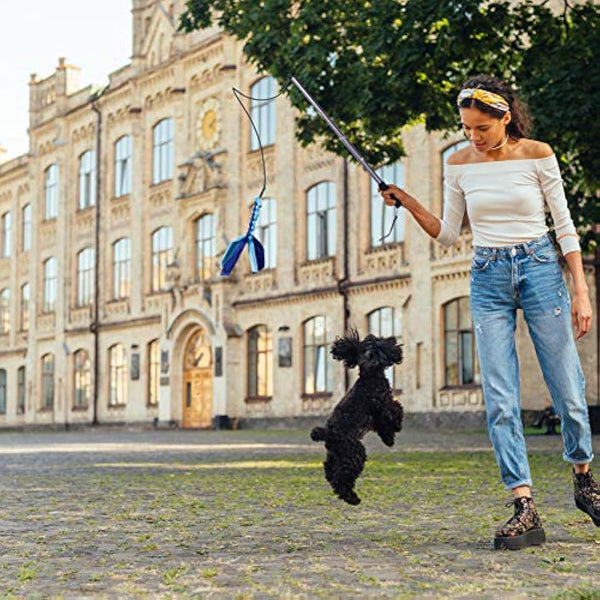 Auidy_6TXD Flirt Pole Dogs,Interactive Dog Toys Retractable Dog Toy Stick with 2 Tease Chew Toys Rope for Chewing,Training Exercise