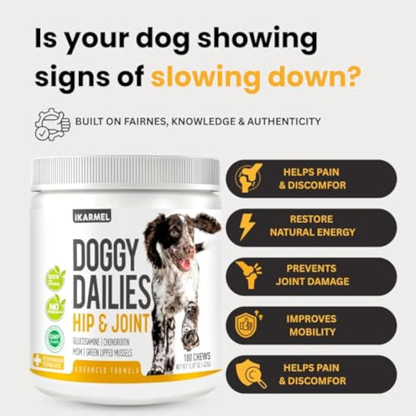 iKarmel Joint Supplements for Dogs | Hip and Joint Care | with Glucosamine, Chondroitin, and Green-Lipped Mussels | Puppy to Senior Dog Treats for Stiff Joints (270 Chews)