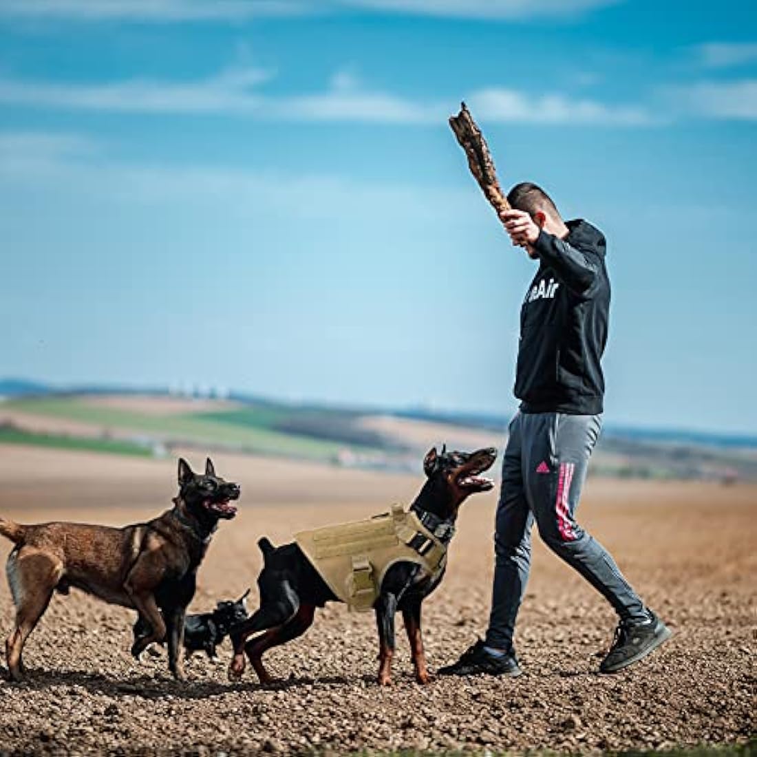 FEimaX Tactical Dog Harness for Military Patrol Working Dog No Pull Molle Vest Large Dogs Service Harness with Handle and Front Clip for Hunting Training Hiking (Brown, S)