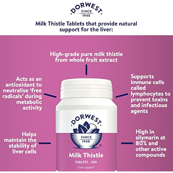 Dorwest Milk Thistle Tablets for Dogs and Cats, 200 Tablets, Supports Liver Function, Antioxidant for Dogs, Immune System Heath, Natural Supplement