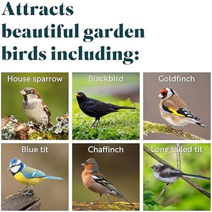 RSPB Sunflower Hearts Wild Bird Food 4kg, High in Energy & Protein, Great For Bird Feeders, Supporting The RSPB Charity, Resealable & Recyclable Packaging