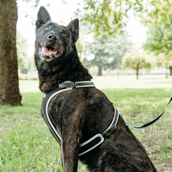 Ferplast Large Size Dog Harness ERGOCOMFORT EXTRA LARGE, Adjustable Dog Harness, Comfortable, Padded, Double Micro-adjustment Closure, Quick Release, Silver