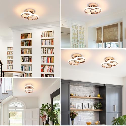 EIDISUNY LED Ceiling Light Modern Ceiling Lamp Gold Round Simple Ceiling Lights Fixture LED for Corridor Kitchen Stairs Hallway Study Room Bedroom Living Room - Chrome Gold 22W Natural Light 4500K.