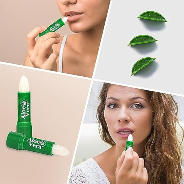 Beauty4Britain 72 x Lip Balm Aloe Vera Full Size 6 Boxes x 12 Balms Unisex Lip Care Wholesale