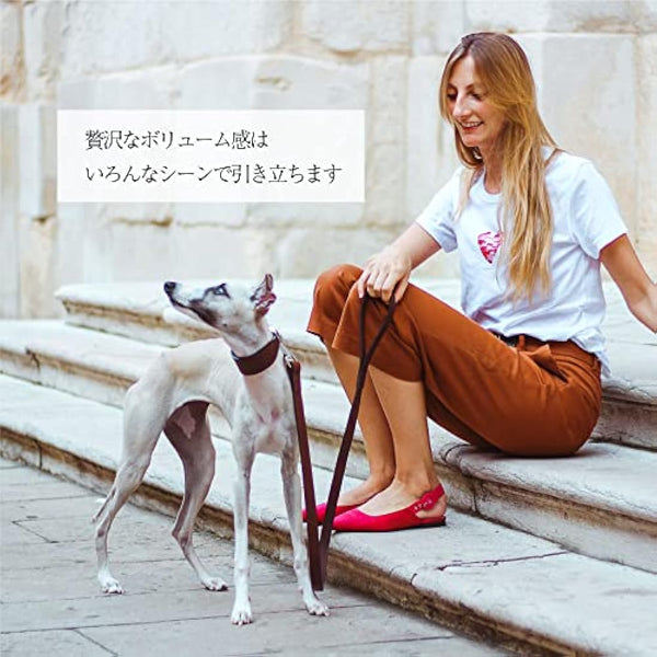 Ferplast VIP G20/150 Dog Lead, 20 mm/ 150 cm, Brown