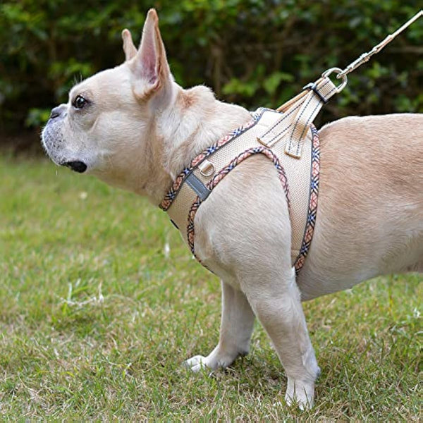 DORAMIO Step-in Dog Harness and Leash Set, Soft Mesh No-Chock Reflective Breathable Easy Walk Lightweight Vest Harnesses with Safety Buckle for Small Dogs, Cats, Puppies (Beige, XL)