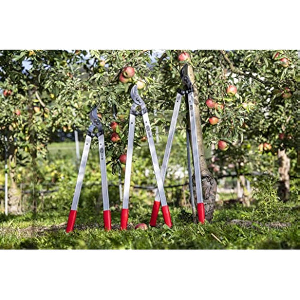 Felco Model 221-70 Long reach Loppers Straight Cutting Head 45mm Cut Lightweight 70cm Handles Shock Absorbers Tree Surgeon Professional Gardener Forestry Precision Manufacturing Process Swiss Made