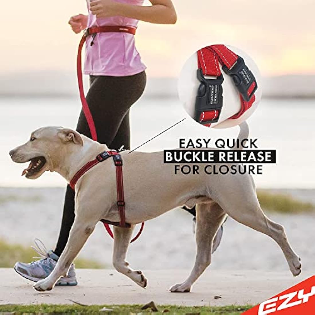 EZYDOG Classic Chest Plate Harness | Dog Harness Small, Medium, Large, K9 Dog Harness, Reflective Stitching, No Pull, Breathable (Denim)