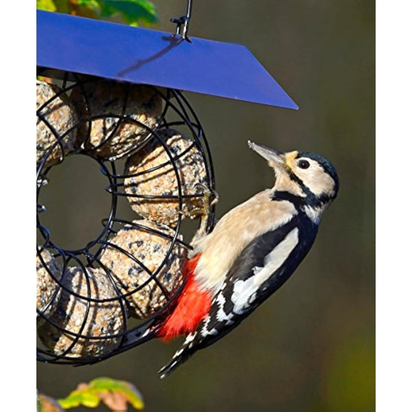 Fat Balls For Wild Birds - Jacobi Jayne® Chunky Dumplings™ Premium Suet Balls - Pack Of 18 x 100g - High Energy Fat Balls Wild Bird Food Feed To Attract Small Wild Birds Year Round