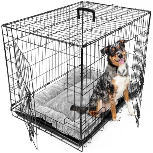 DogCrates+ Medium Foldable Dog Crate with Bed, 2 Doors Design, Non-Chew Metal, Removable Tray, 30-Inch Black