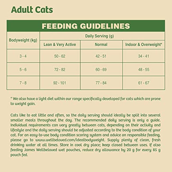 James Wellbeloved Adult Grain-Free Turkey 4 kg Bag, Hypoallergenic Dry Cat Food