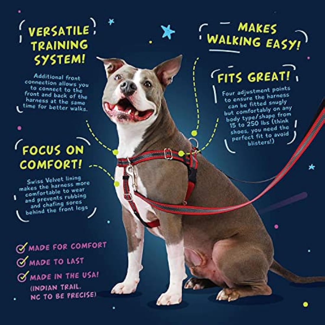 2 Hounds Design Freedom No-Pull Dog Harness with Leash, Medium, 5/8-Inch Wide, Teal