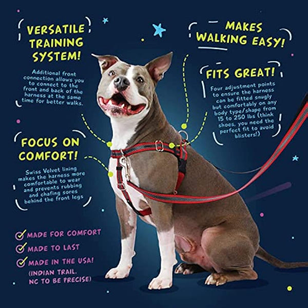 2 Hounds Design Freedom No-Pull Dog Harness with Leash, Medium, 5/8-Inch Wide, Teal