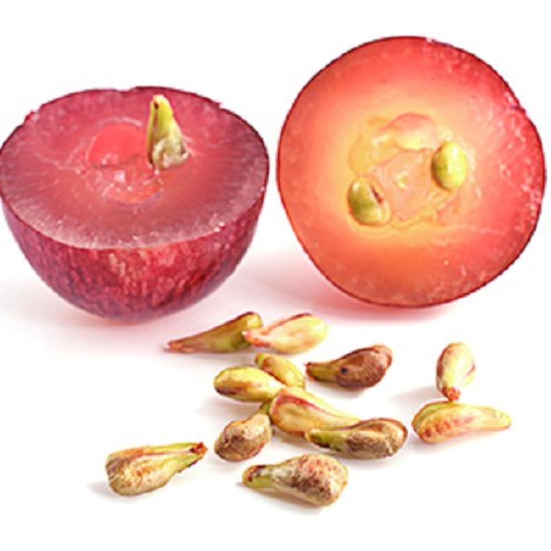 Simple Solution Chew Stopper, Deterrent for Puppy Training to Discourage Licking and Chewing - 500ml