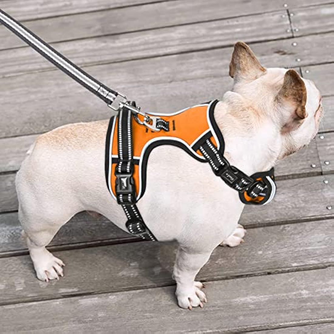 HEELE No Pull Dog Harness - Medium, Release on Neck, Reflective, Adjustable with Front & Back Leash Attachments & Soft Padded Control Handle for Dogs Walking & Training, Orange, M
