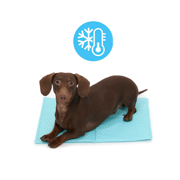 Petface Cooling Summer Dog Coat, 70 cm, Blue