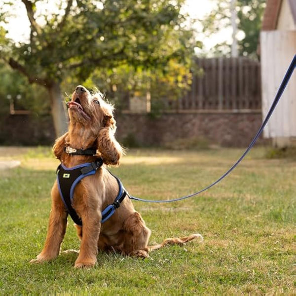 Ferplast Medium Size Dog Harness ERGOCOMFORT MEDIUM, Adjustable Dog Harness, Comfortable, Padded, Double Micro-adjustment Closure, Quick Release, Red