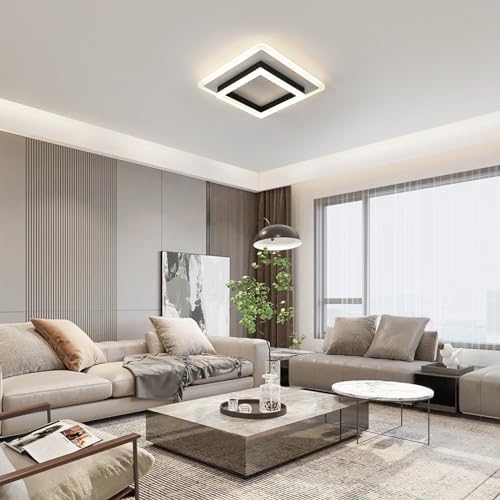 DELIPOP Ceiling Light Modern, 30W Square LED Ceiling Lamp, Acrylic Ceiling Lights for Living Room Kitchen Bedroom Hallway, Natural Light 4500K, Dia 30cm