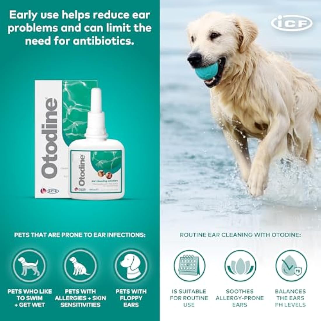 ICF Otodine | Cat & Dog Ear Cleaner Solution | Dog Ear Drops to Stop Wax Build Up, Head Shaking, Discomfort, Ear Odour & Scratching | 100ml