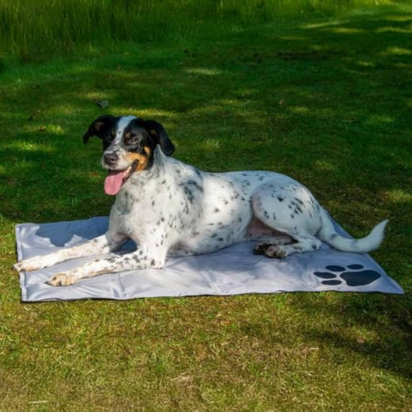 dobar® 60422 Cooling Mat for Dogs - Dog Cooling Mat for Dogs & Cats - Self-Cooling Mat for Pets - Dog Blanket with Cold Gel Filling - Cooling Blanket - 99.5 x 70 cm - Grey