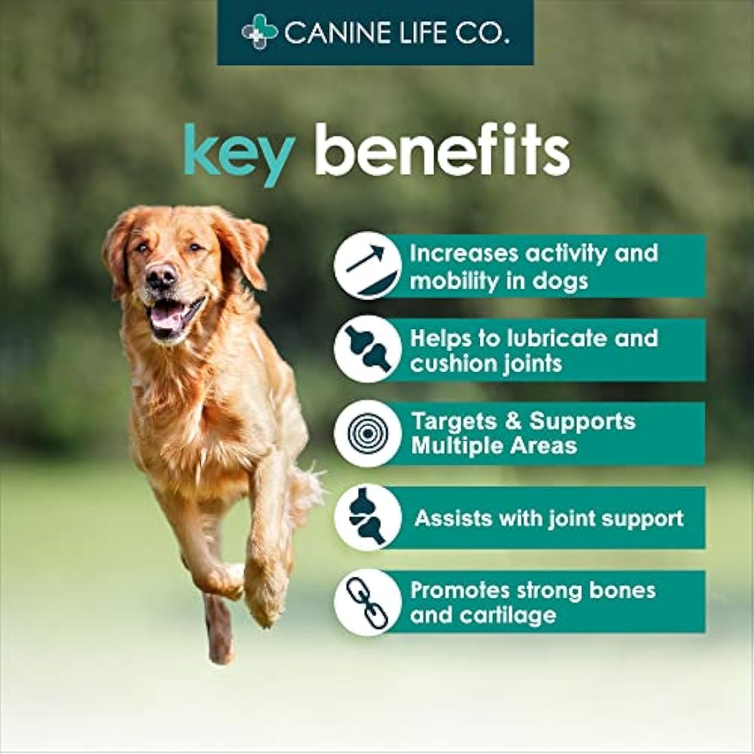 Enhanced Adult Dog Joint Supplements With Turmeric, Glucosamine & Green Lipped Mussel 300 Chewable Tablets Made In The UK - Canine Life Co. (1 Pot (300 Tablets))