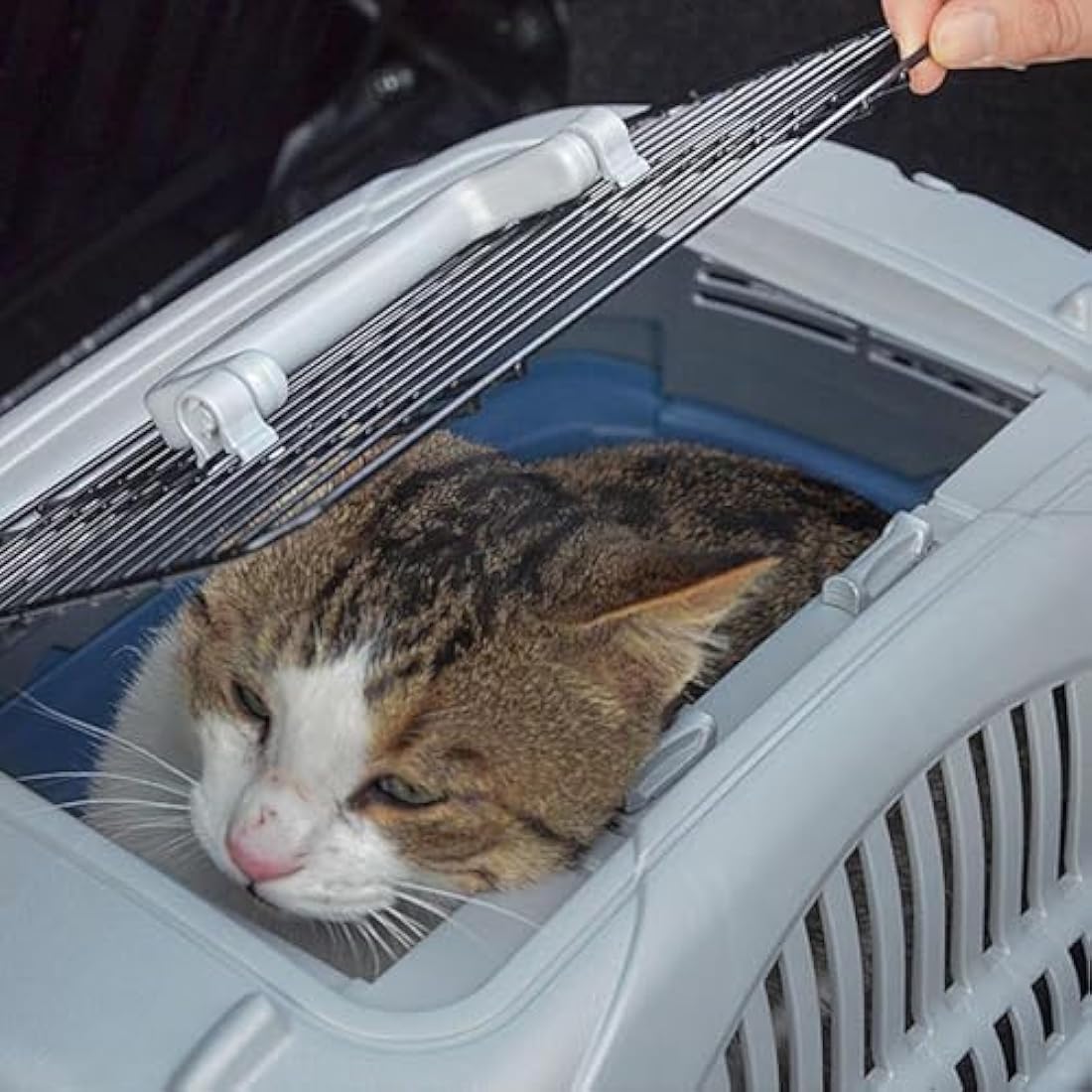 Ferplast Atlas 10 Deluxe Open Cat Carrier Dog Carrier, Secure and Practical, Durable, Open Top Design, Easy to Clean, Ideal for Travel, Pet Carrier up to 5 Kg. 51x34x30 cm.