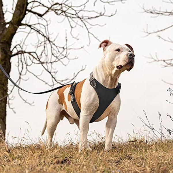 Ferplast Giotto Luxor Dog Harness, 50-70 cm/ 75-95 cm, Black