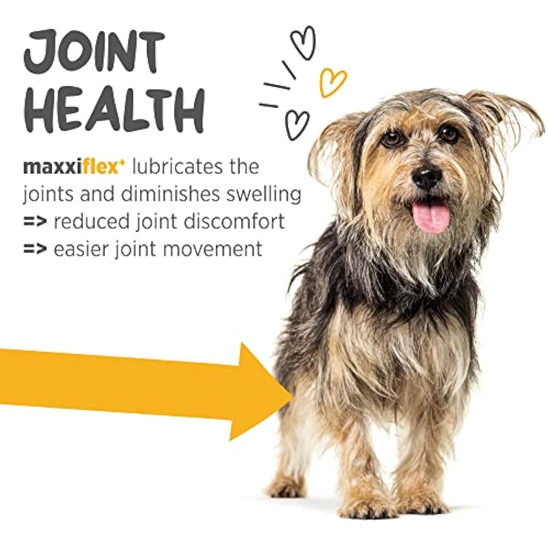 maxxipaws - maxxiflex+ Hip & Joint Supplement for Dogs with Glucosamine, Chondroitin, MSM & Collagen | Mobility, Flexibility & Discomfort Support | Senior, Adult & All Breeds | 120 Tablets