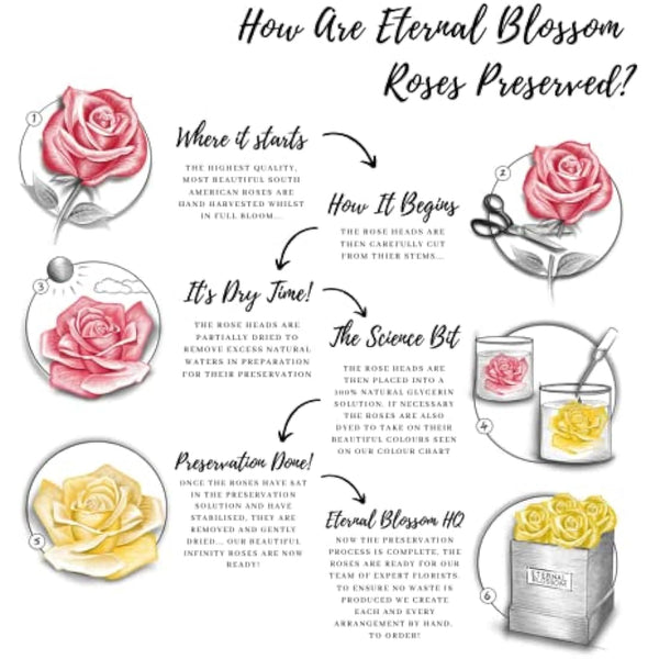 Eternal Blossom Preserved Real Infinity Rose | Eternal Rose That Lasts Over A Year | Black Box | With Gift Box (Rouge Red)