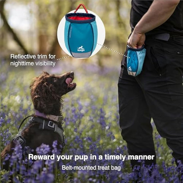 Kurgo Go Stuff It Treat Bag, Hands-Free Training Dog Treat Pouch, Includes Belt Clip and Carabiner, Machine Washable, Coastal Blue