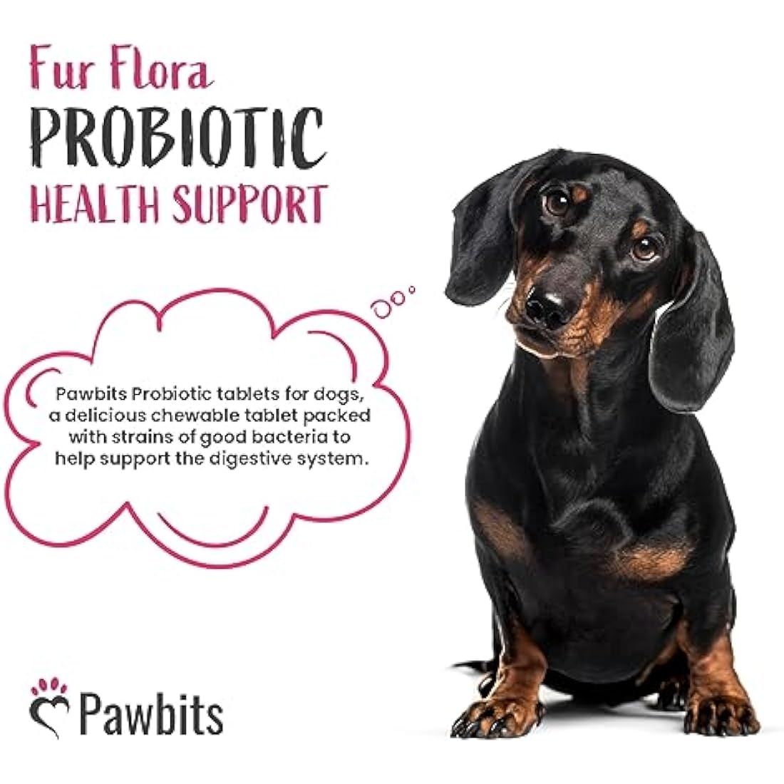 365 Canine Probiotics & Prebiotics Tablets for Dogs – 5 Billion CFU Tablet Chicken Flavour Chewable Dietary Supplements -10 Strain Complex for Digestive Support, Gut Health, Bad Breath & Itchy Skin