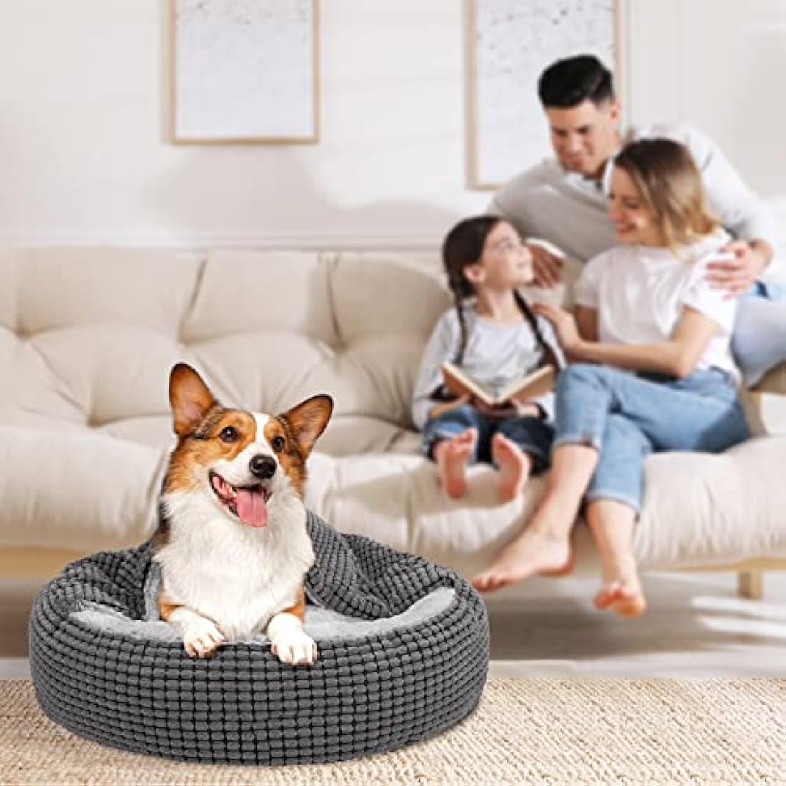 JOEJOY Round Dog Bed Calming Donut Cuddler Pet Bed for Large Medium Small Dogs, Warm Puppy Hooded Dog Cave Bed Cat Bed Medium Washable with Breathable Fluff, Fits Up To 25/30lbs Pets