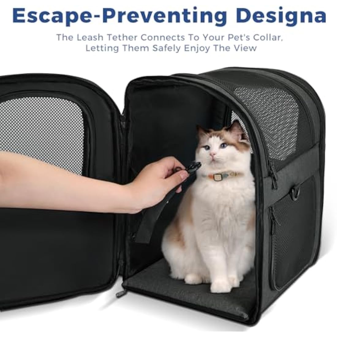 Apollo Walker Pet Carrier Backpack for Large/Small Cats and Dogs, Puppies, Safety Features and Cushion Back Support for Travel, Hiking, Outdoor Use (Black)