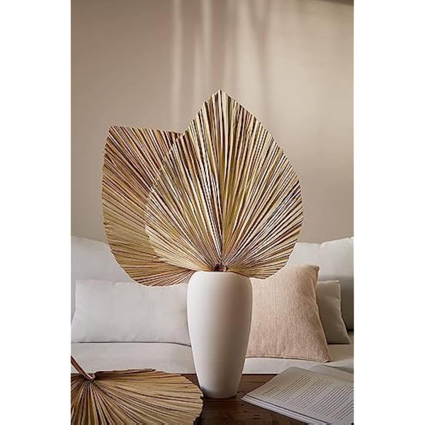 Dried Palm Leaves 5Pcs 18" Large Natural Trimmed Palm Spear Tropical Palm Leaves Fans Boho Wedding Decor Hawaiian Luau Party Holidays Kitchen Table Dried Flowers Pampas Grass Decoration