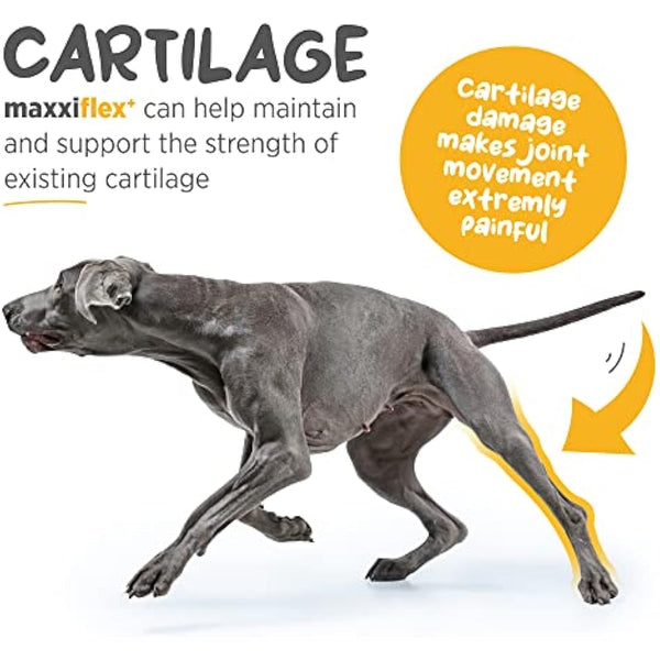 maxxipaws - maxxiflex+ Hip & Joint Supplement for Dogs with Glucosamine, Chondroitin, MSM & Collagen | Mobility, Flexibility & Discomfort Support | Senior, Adult & All Breeds | 120 Tablets