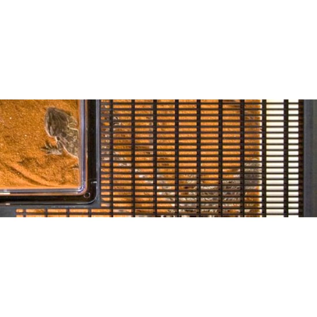 Exo Terra Flat Faunarium Large