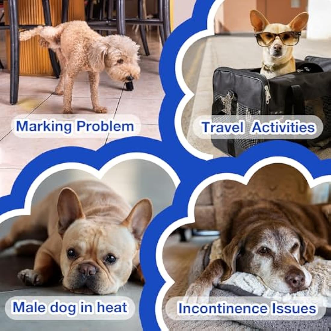 MICOOYO Disposable Dog Nappies Male, Super Absorbent Male Dog Wraps, Doggy Diapers with Wetness Indicator (M, 50pack)