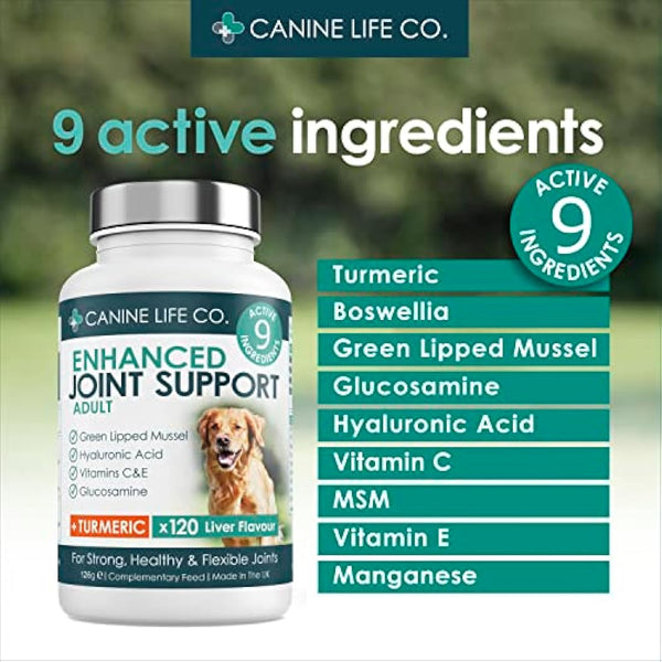 Enhanced Adult Dog Joint Supplements With Turmeric, Glucosamine & Green Lipped Mussel 300 Chewable Tablets Made In The UK - Canine Life Co. (1 Pot (300 Tablets))