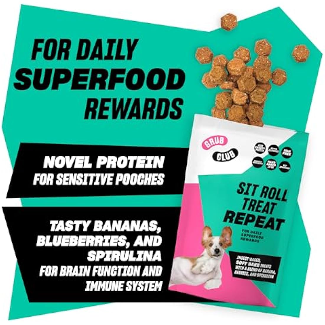 Insect Protein Superfood Dog Treats for Daily Training and High Value Rewards - Grain Free, High Protein and Planet Friendly - Sit Roll Treat Repeat (10 x 100g) - GRUB CLUB